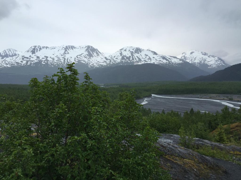 Seward'S Guest House Exterior photo